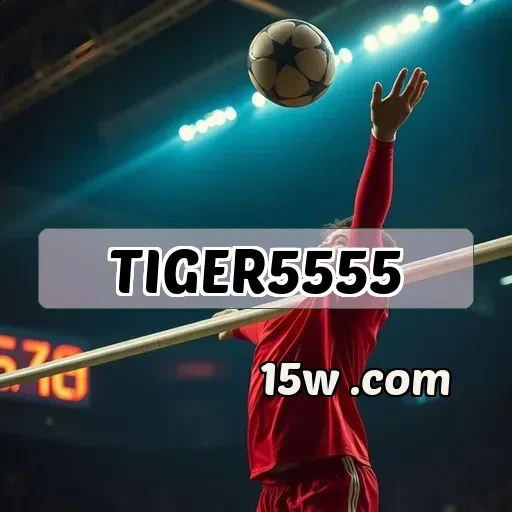 TIGER5555: Jogos Casuais Que Transformam Sua Diversão Diária