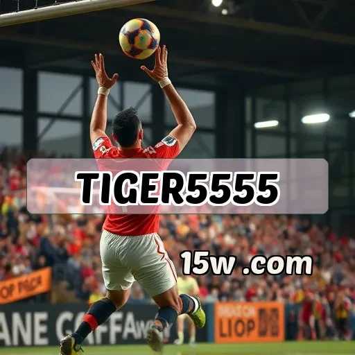 TIGER5555: Descubra os Recursos Imperdíveis da Seção Premium