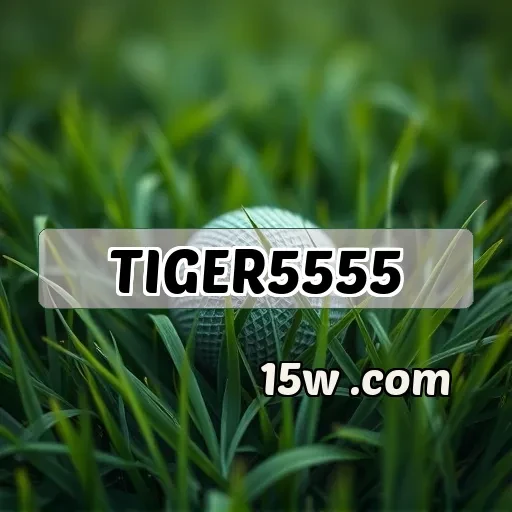 TIGER5555: Descubra a Incrível Seção de Simulação de Jogos